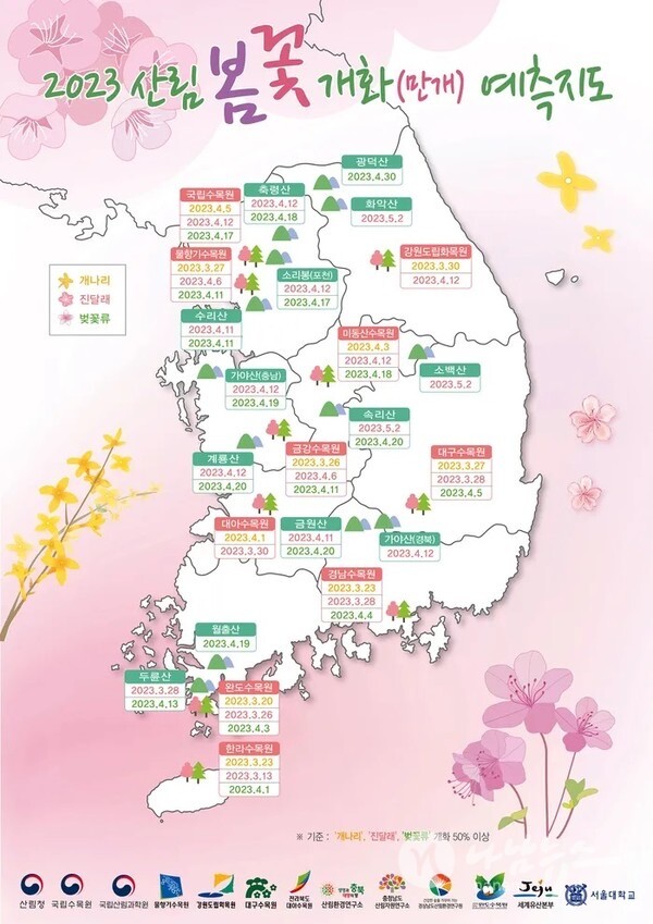 개나리·진달래·벚꽃 지역별 개화시기명소 전국지도/ 사진-산림청 제공 