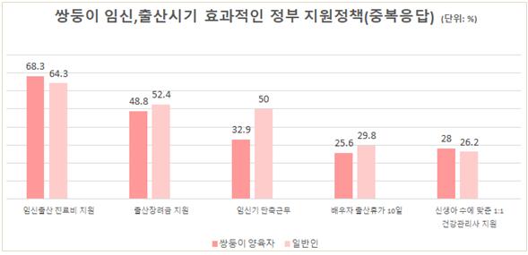 쌍둥이 양육자, '진료비 지원' 임신·출산시 효과 최고 꼽아[연합뉴스]