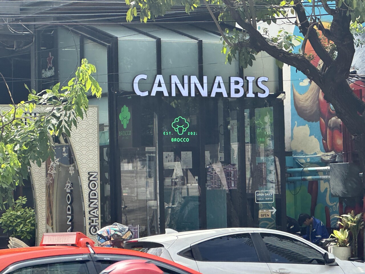 호기심에, 모르고…휴가철 앞두고 '대마제품 주의보'[연합뉴스]