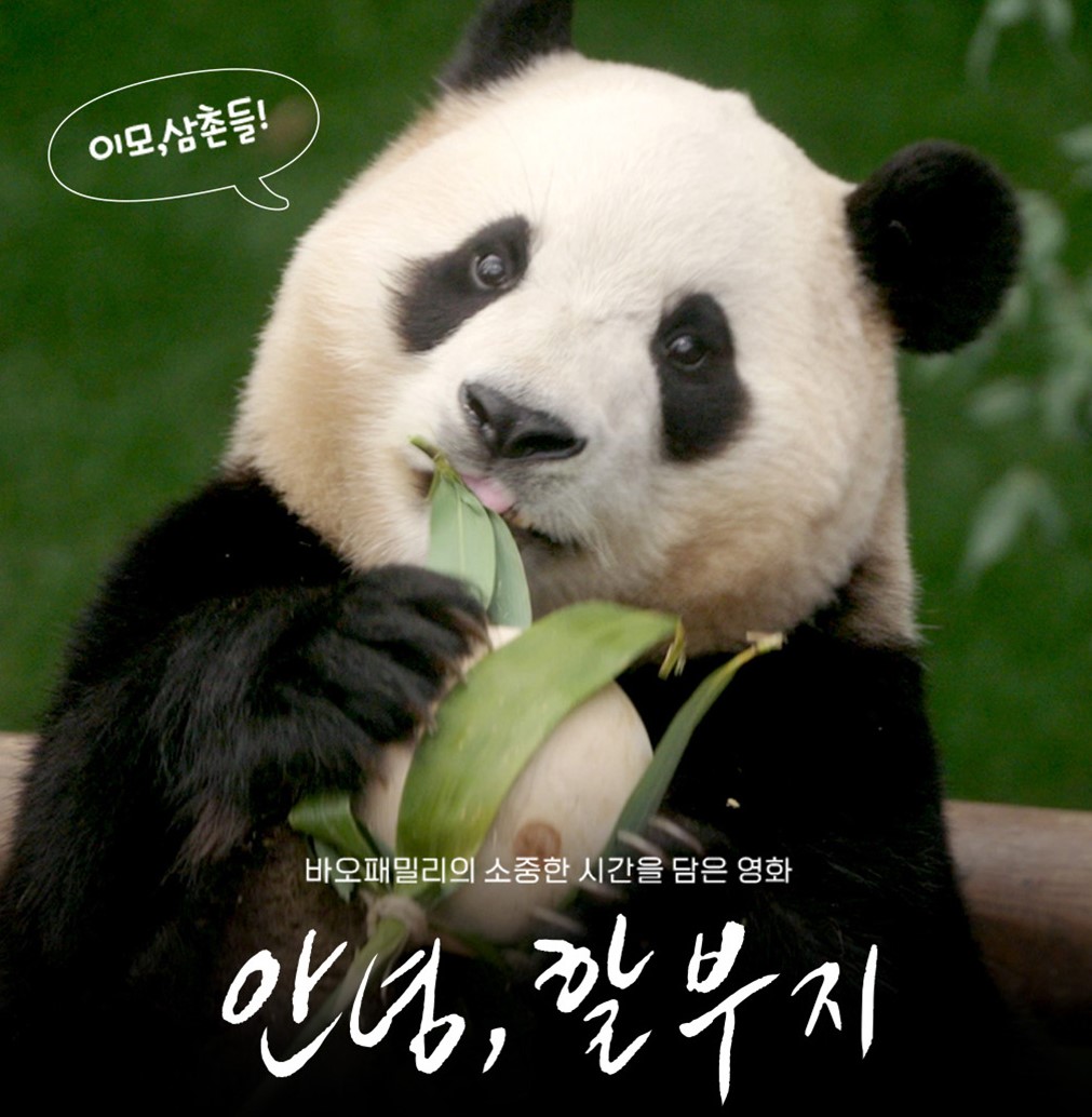 에버랜드, 푸바오와의 못다 한 이야기 영화로 만든다[연합뉴스]