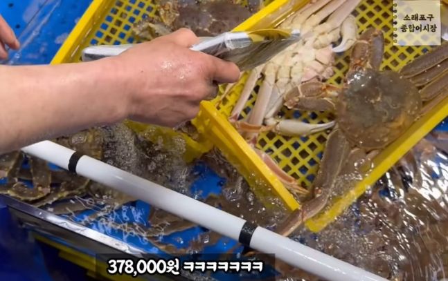 사진=유튜브 채널 '생선선생 미스터S'