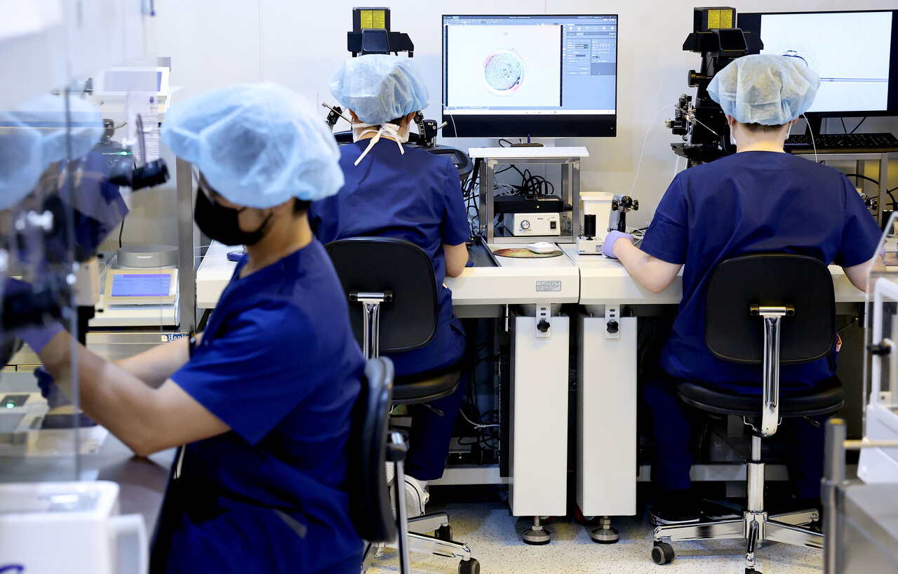 난자동결 시술 70%는 30대…미혼여성 절반 "시술 고려했다"[연합뉴스]