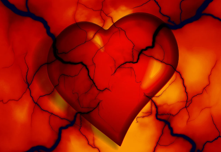 사진=픽사베이(기사와 관계없는 사진)