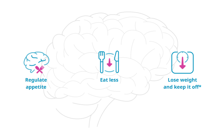 사진=위고비 홈페이지 