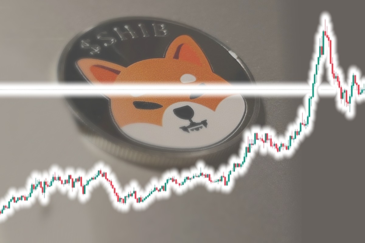 암호화폐 불장 오나