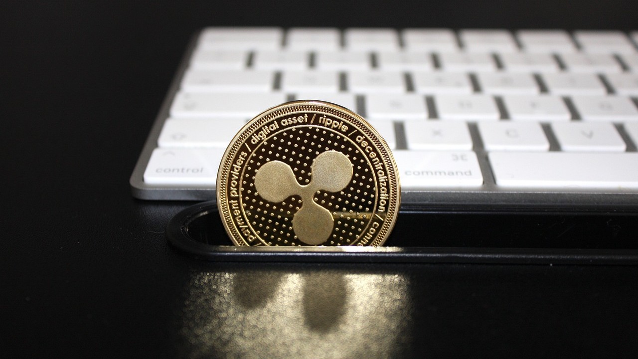 600% 상승 예상해