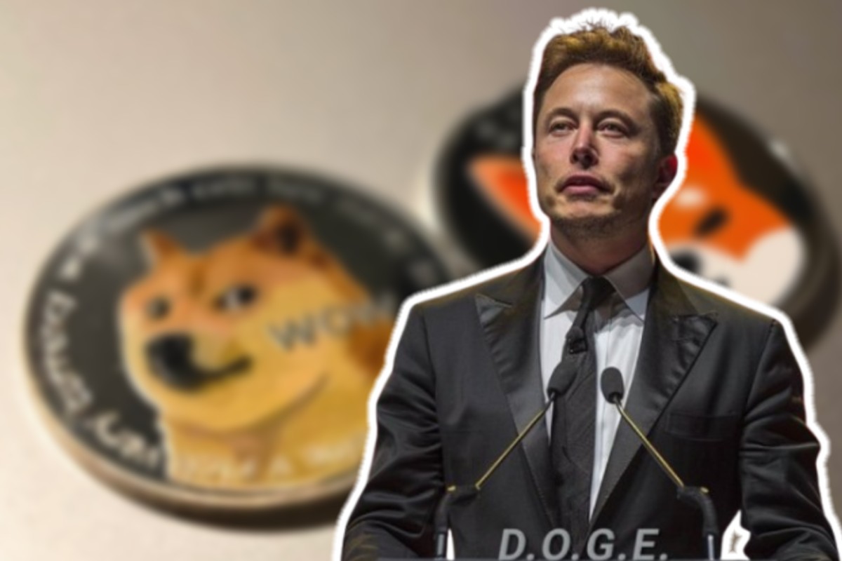 폭발적 상승 예상