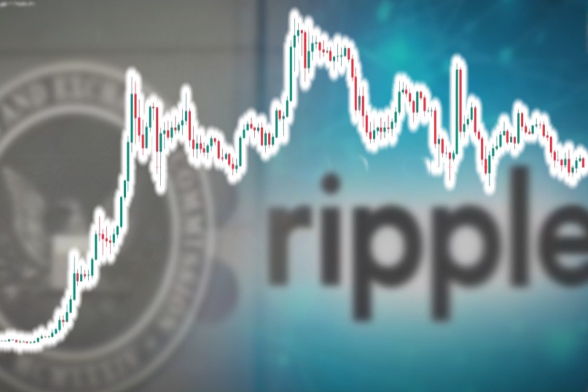 큰손들 심상치 않아