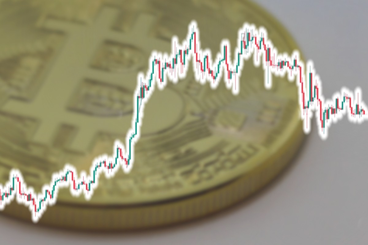 반값됐던 그때와 똑같아