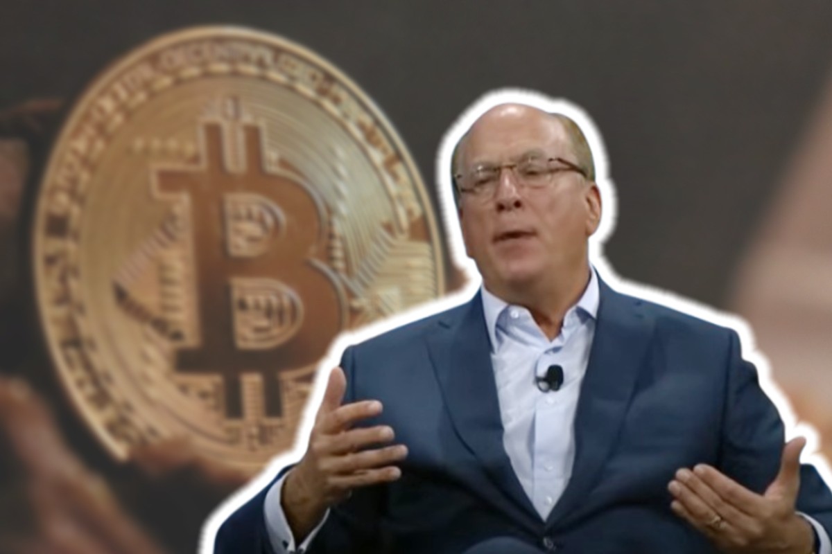 코인에 올인하더니