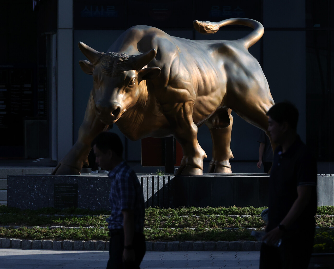 개미가 참패했다