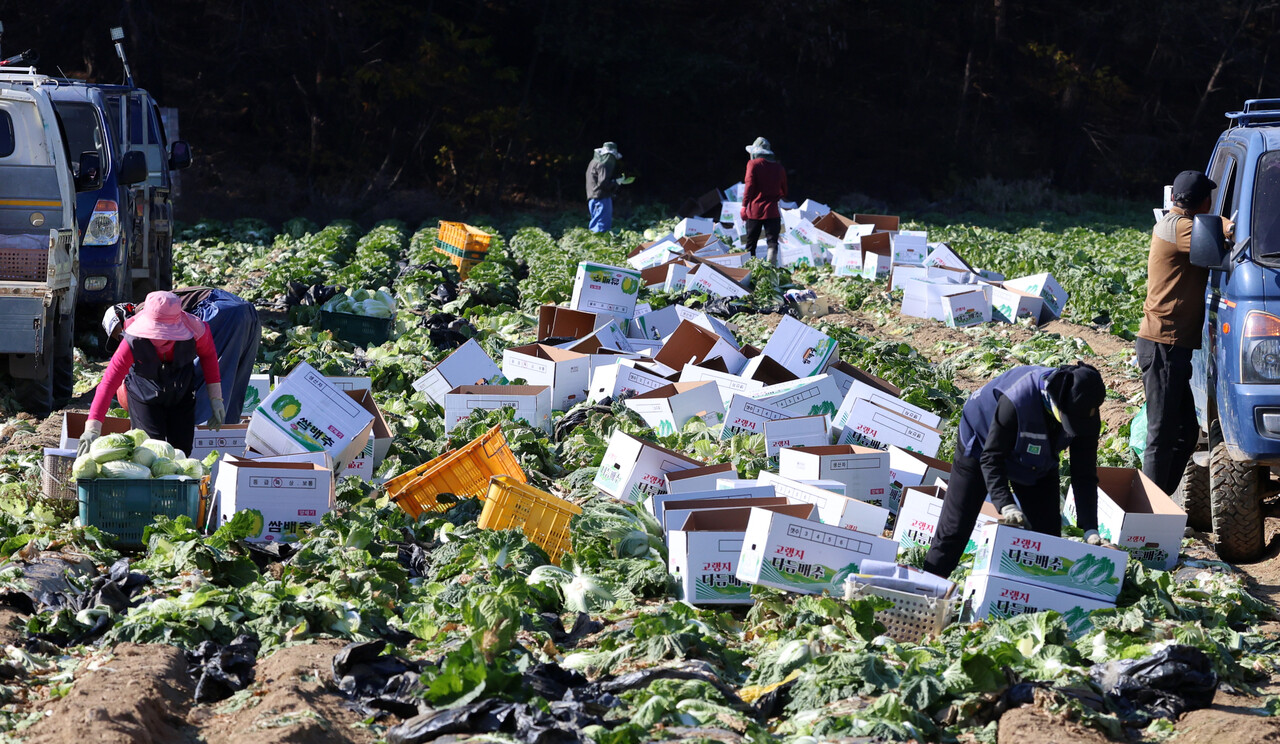 경영주 배우자 여성농업인, 농한기때 취업가능…2천만원 미만[연합뉴스]