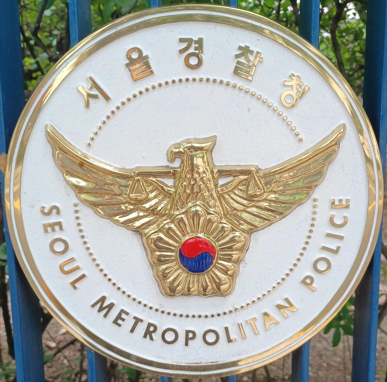 연합 코인 모자라 (64) 사진