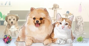 대표 이미지
