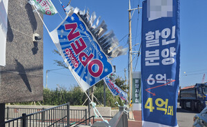 대표 이미지